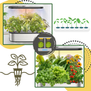 12 Plants Pods Hydroponic Garden