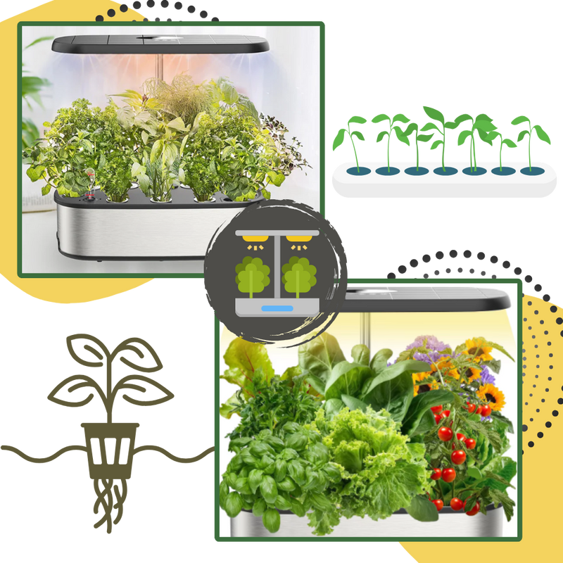 12 Plants Pods Hydroponic Garden