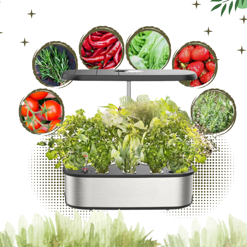 12 Plants Pods Hydroponic Garden