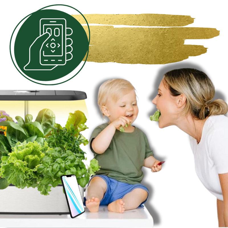 12 Plants Pods Hydroponic Garden