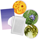 36-Pack Invisible Acne Patches