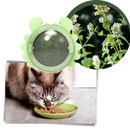 Rotatable Cat Mint Ball Toy