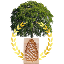 Wooden Cookie Cutter Mould