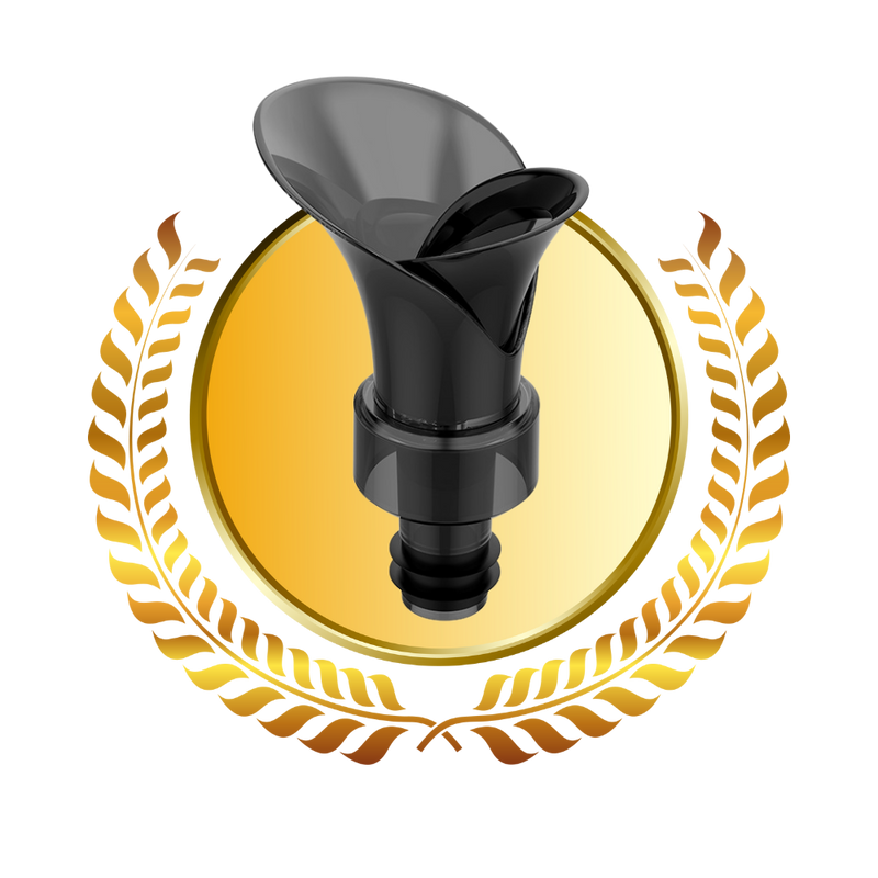 2 in 1 Wine Decanter and Seal