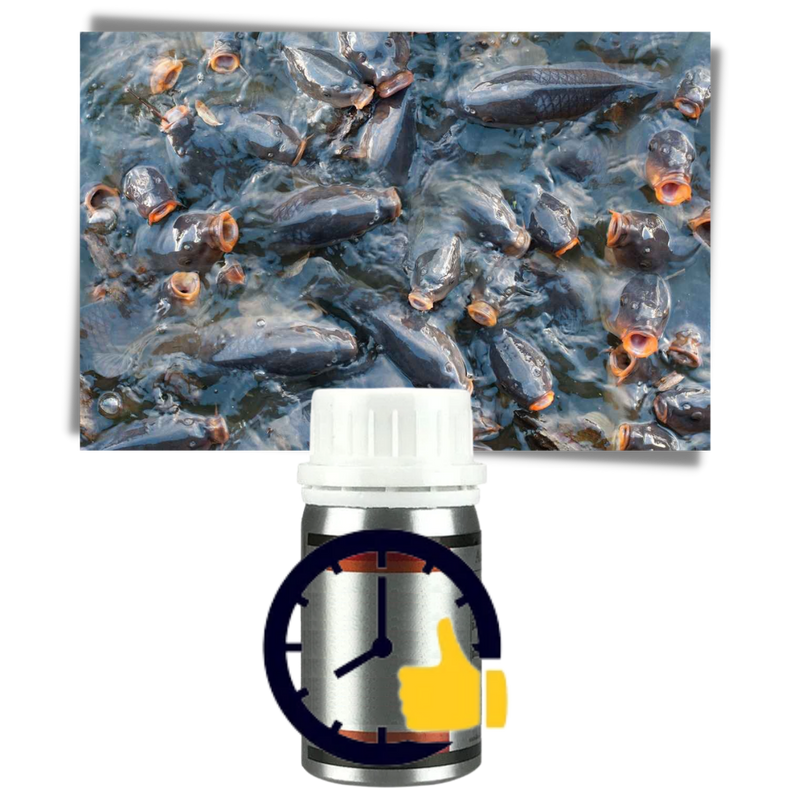 Attractive Fish Lure