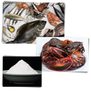 Attractive Fish Lure