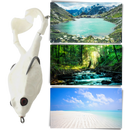 Silicone Frog Fishing Lure