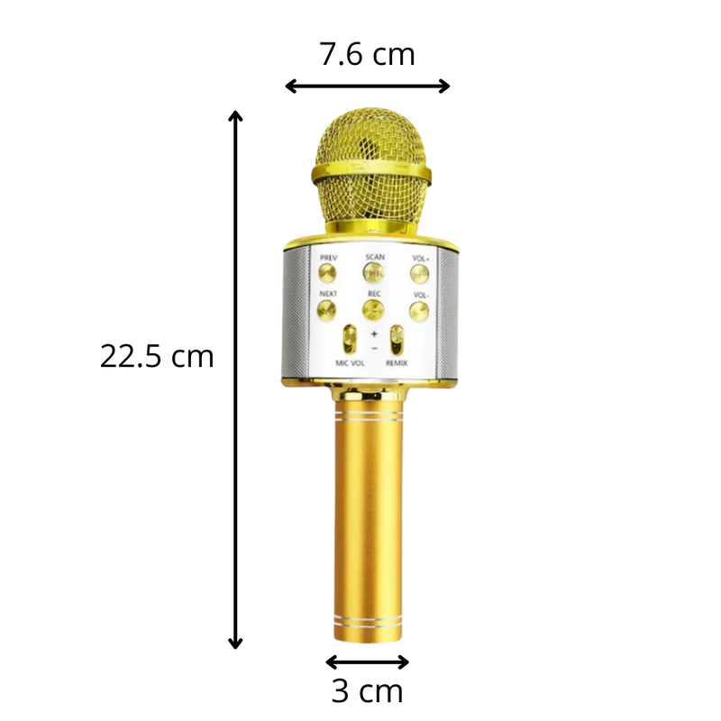 Wireless Bluetooth Karaoke Microphone