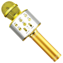 Wireless Bluetooth Karaoke Microphone