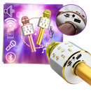 Wireless Bluetooth Karaoke Microphone