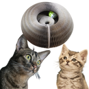 Cat Scratching Board