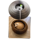 Cat Scratching Board