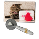 Special Brush For Pets