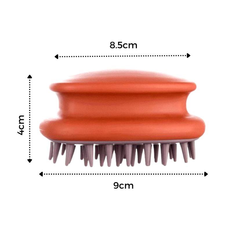 Scalp Massage Brush