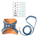 Pet Harness and Leash Set