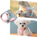 Pet Harness and Leash Set