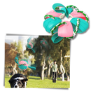 Frisbee Ball Dog Toy