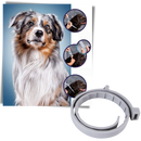 Anti-Flea Collar for Pets