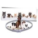 Anti-Flea Collar for Pets