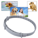 Anti-Flea Collar for Pets