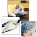 Flopping Fish Cat Toy