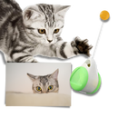 Interactive ball toy for cats