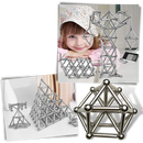 Magnetic construction Sticks and Balls