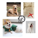 Super Absorbent Pet Bathrobe