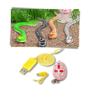 Remote control interactive snake toy for cat
