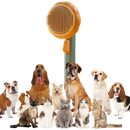 Self-cleaning pumpkin pet brush