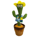 Talking Cactus Parrot