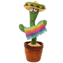 Talking Cactus Parrot