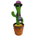 Talking Cactus Parrot