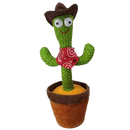 Talking Cactus Parrot