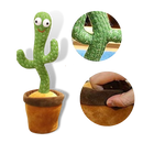 Talking Cactus Parrot