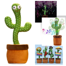 Talking Cactus Parrot