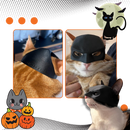 Adorable Batman Cat Mask