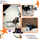 Adorable Batman Cat Mask