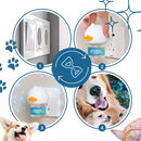 Anxiety Relief For Pets