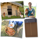 Automatic Chicken Coop Door