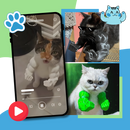 Bodybuilder Cat Arm Costume