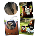 Cat Travel Backpack