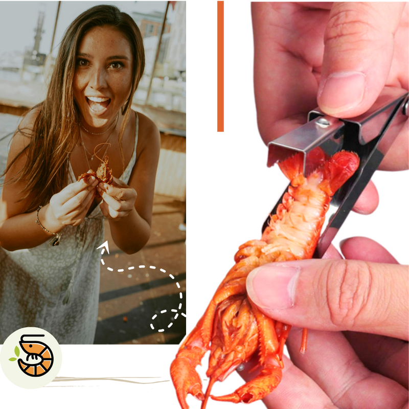 Crawfish QuickShell Tool