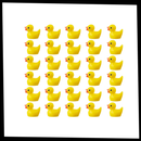 Cute Duck Challenge Toy