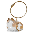 Cute Fluff Fur Capsule