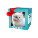 Cute Robotic Puppy Cat