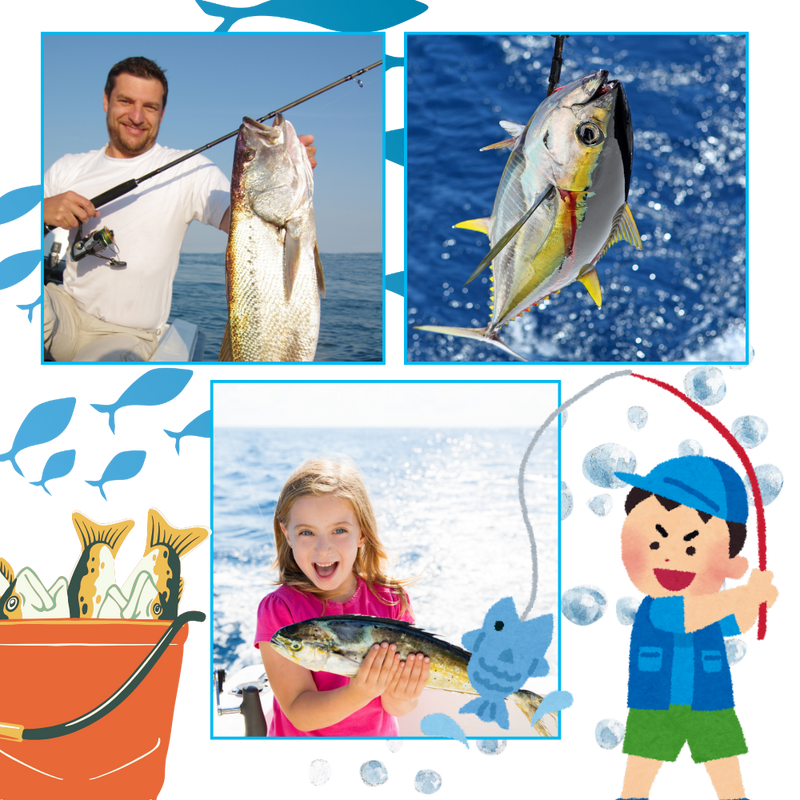 Daily Surprises Fishing Advent Calendar