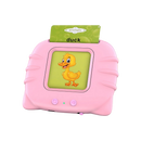 Educational Talking Flash Cards