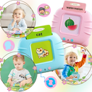 Educational Talking Flash Cards