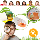 HD Viewing Insect Trap